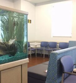 Cook Children’s Pediatrics Flower-Mound, Hannah Chong MD (정하나)