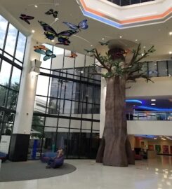 메디칼 시티 달라스 병원 (Medical City Dallas Hospital)