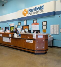 밴필드 동물병원