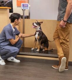 밴필드 동물병원